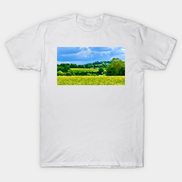 Rolling Hills in the Countryside T-Shirt by Pamela Storch